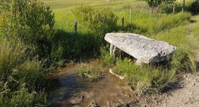 Šta je ploča i zašto su Murići „pocrkali“ na njoj