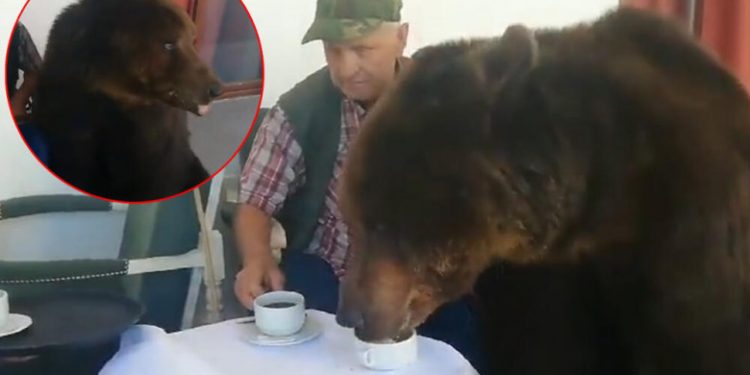 (VIDEO) KAFA ZA MENE I MLIJEKO ZA MEDVJEDA: Pogledajte hit snimak sa Stare planine