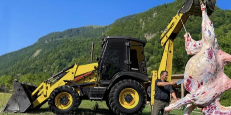 (VIDEO) PEČENA CIJELA DEVA ZA ODMOR ZA CIJELO SELO