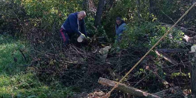(VIDEO) PETNJICA: SEZONA GRIJANJA STIGLA RANO, METAR DRVA OD 50 DO 60 EURA