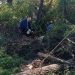 (VIDEO) PETNJICA: SEZONA GRIJANJA STIGLA RANO, METAR DRVA OD 50 DO 60 EURA