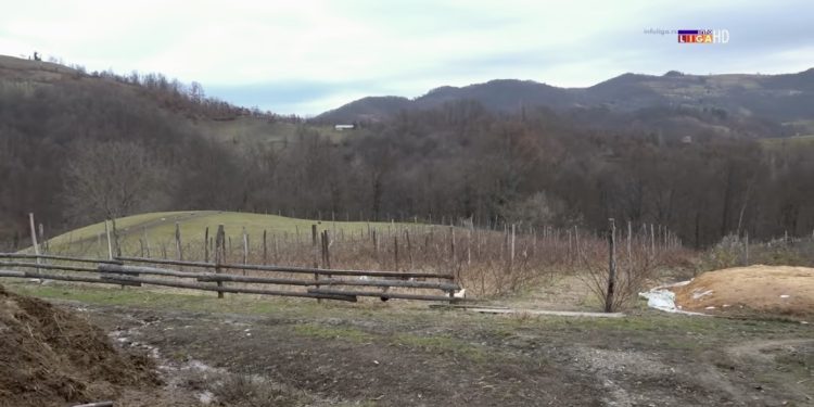 (VIDEO) Plodna zemlja koja je odškolovala generacije prijeti da zaraste u korov