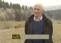 (VIDEO) Meho Honsić od farme zarađuje 20.000€ godišnje