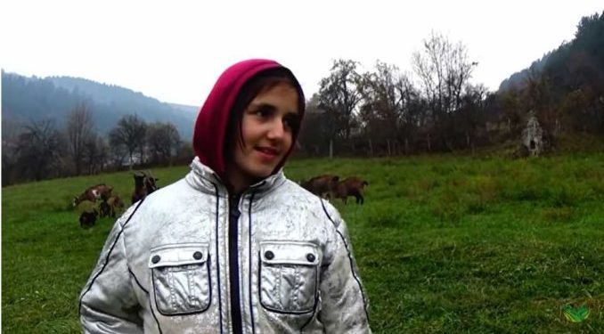 (VIDEO) 11-godišnja Ajla dok čuva svoje koze naučila Jasin napamet