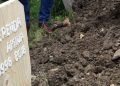 DIRLJIVO: IZGOVORILA ŠEHADET I PRESELILA NA BOLJI SVIJET NA BABINIM RUKAMA