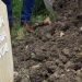 DIRLJIVO: IZGOVORILA ŠEHADET I PRESELILA NA BOLJI SVIJET NA BABINIM RUKAMA