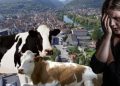 Muž pretukao suprugu jer se nije htjela brinuti oko stoke