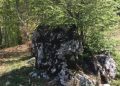 SKRIVENA MJESTA BIHORA: “HADŽIJIN KAMEN” PRIČA SVOJU PRIČU