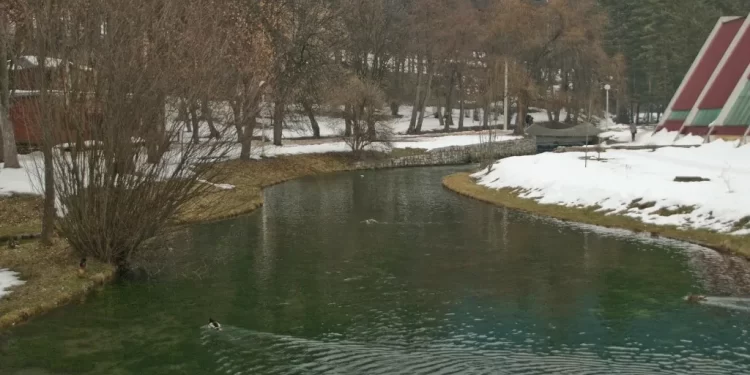 Sandžak: Tijelo ženske osobe pronađeno u parku Vodice