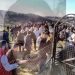 (VIDEO) POGLEDAJTE EMOTIVNI VIDEO SA DŽENAZE DJEVOJČICI HAVI LJAJIĆ