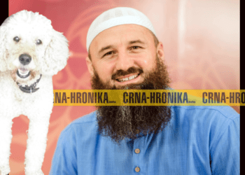 ELVEDIN PEZIĆ: AKO U KUĆI/STANU IMATE PUDLICU (PSA) ON UNIŠTAVA VAŠA DOBRA DJELA