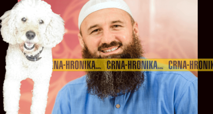 ELVEDIN PEZIĆ: AKO U KUĆI/STANU IMATE PUDLICU (PSA) ON UNIŠTAVA VAŠA DOBRA DJELA