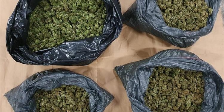 Sandžak:  Policija na granici između Crne Gore i Srbije zaplijenila 43 kilograma marihuane