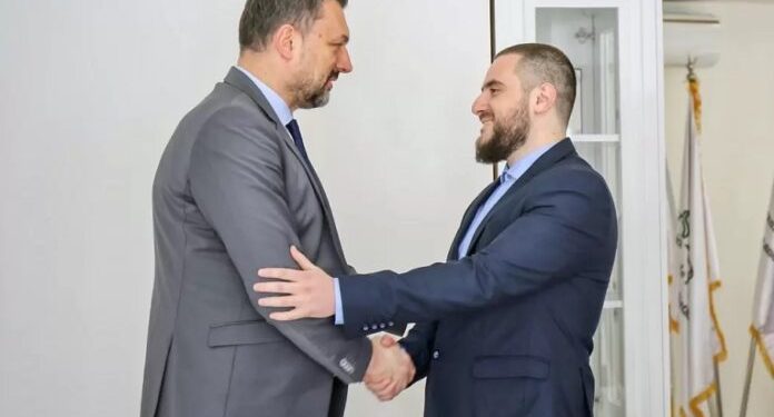 HAYAT: SARAJEVSKA, PAZARSKA DRITANIZACIJA