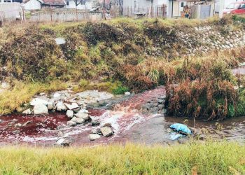 Posljednji rezultati analiza voda u Novom Pazaru: Zbog izlivanja kanalizacija pronađena ešerihija koli