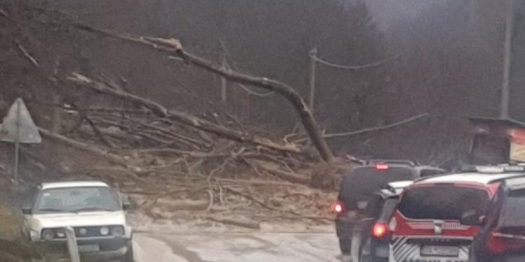 Peti dan zatvoren put Rožaje – Berane