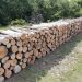Sandžak: Opštinama od šuma mrvice, koncesionarima puni džepovi