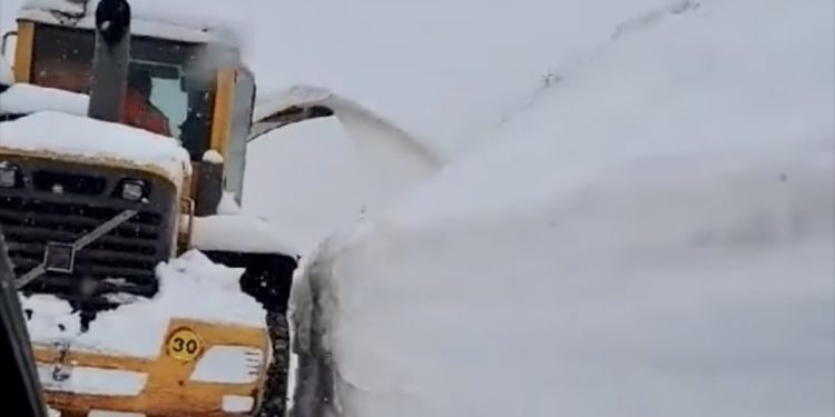 (VIDEO) ROŽAJE: GRANIČNI PRELAZ KULA – SAOBRAĆAJ U PREKIDU