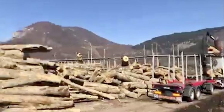 (VIDEO) Rožaje: Utovar drva za ogrijev, donacija ugroženom stanovništvu Turske