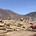 (VIDEO) Rožaje: Utovar drva za ogrijev, donacija ugroženom stanovništvu Turske
