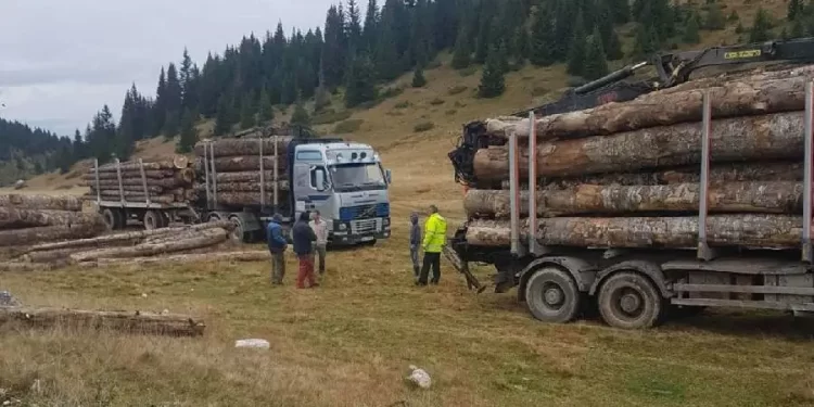 Sandžak: Sve je isto, samo šuma nema