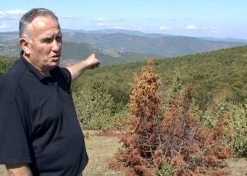 (VIDEO) GLUHAVICA KROZ VIJEKOVE