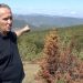 (VIDEO) GLUHAVICA KROZ VIJEKOVE