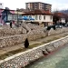 Raška i juče “krvava”, inspektori ne reaguju