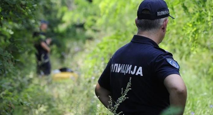 STRAŠNA SCENA: ODVALILA SE GRANA I UBILA DRVOSJEČU