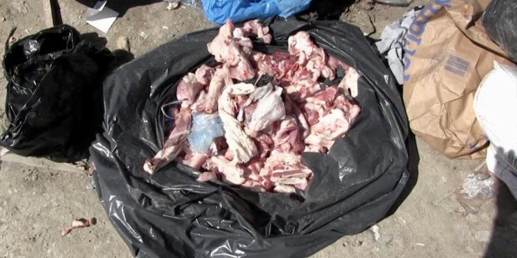 /VIDEO/ SRAMNO: DEPONIJA NA BOŠNJAČKOM GROBLJU U NOVOM PAZARU!