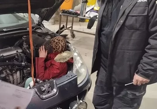 Carinici ispod haube automobila otkrili skrivenu migrantkinju