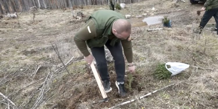 /VIDEO/ Rožaje: Pošumljavanjem na lokalitetu Carina, obilježen Dan šuma