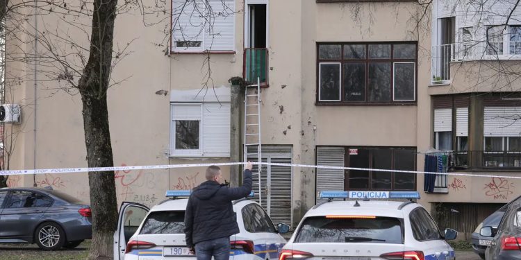 ŽENA JE SLALA PORUKE S MOBITELA MUŽA KOJEG JE UBILA, TAKO JE HRVATSKA POLICIJA SHVATILA DA LAŽE