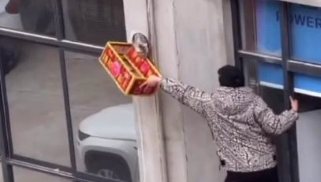 (VIDEO) SVIJETU TREBA JOŠ OVAKVIH LJUDI! POPEO SE NA KLIMU, DA BI SPASIO MAČKU KOJA JE VISILA SA ZGRADE!