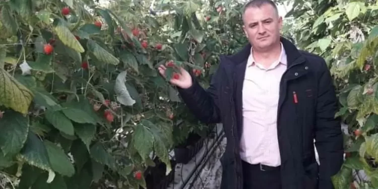 Sandžak: Stotine tona maline zarobljeno u hladnjačama