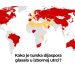 Kako je turska dijaspora glasala u izbornoj utrci