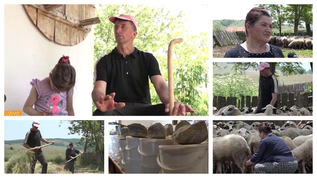 /VIDEO/ Porodica Redžović iz sela Pružanj čuva tajnu dugovečnosti: Njihov mladi sir je eleksir mladosti