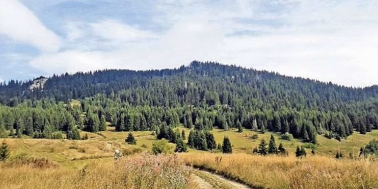 Opština Tutin dobija Park prirode “Mojstirsko-Draške planine”