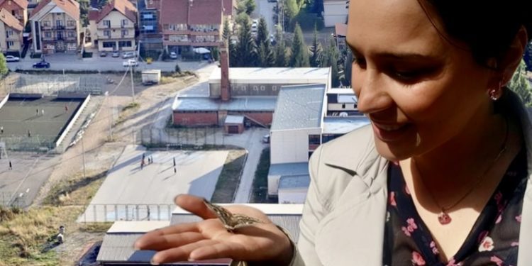 Naučna pobjeda tutinske gimnazije: Profesor Melisa Curić stekla titulu prvog doktora nauka iz Hidrobiologije na našim prostorima!