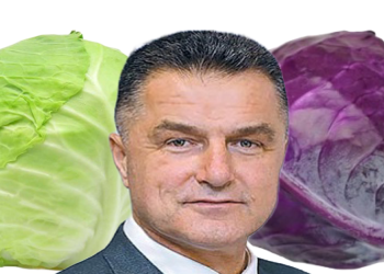 Kupus&lica Nihata Biševca