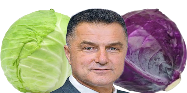 Kupus&lica Nihata Biševca
