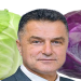 Kupus&lica Nihata Biševca