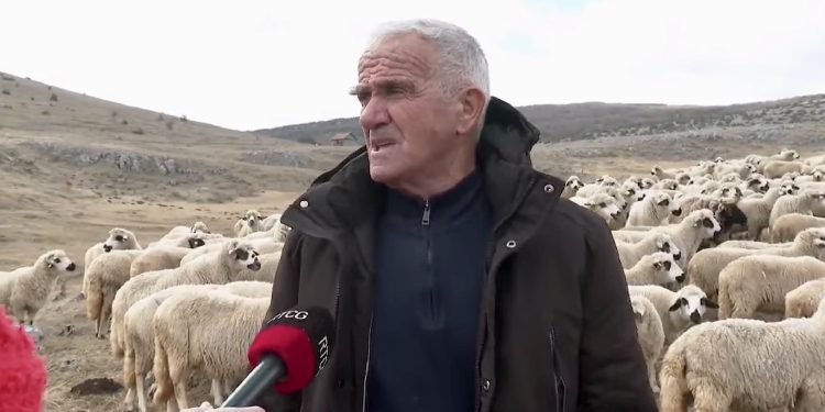 /VIDEO/ VRIJEDNI FARMERI SA PEŠTERI: SVE SMO STVORILI OD STOČARSTVA