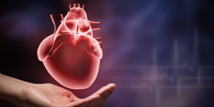 /VIDEO/ JUŽNI SANDŽAK: PRVI PUT IZVEDENA KATETERIZACIJA SRCA