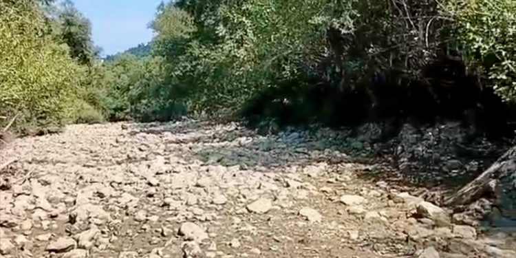 Ibar bez vode: Ekološki problemi i pomor ribe kod Dračenovca