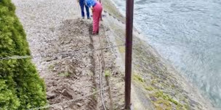 Zanimljivost: Krao struju tako što se priključio na uličnu rasvjetu