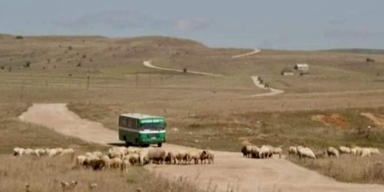 Težak život na Pešteru: Sjećanje na Karajukića Bunare