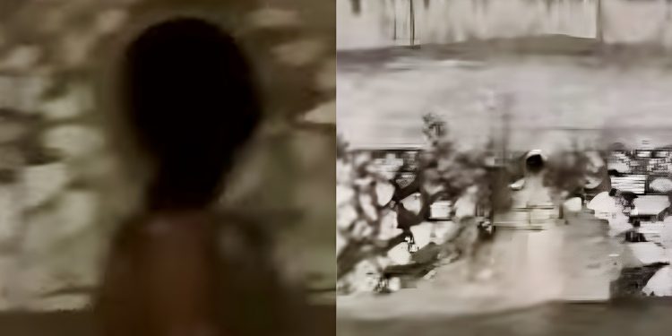 /VIDEO/ Ekološka katastrofa u Novom Pazaru: Vlast ponovo zakazala!