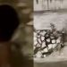 /VIDEO/ Ekološka katastrofa u Novom Pazaru: Vlast ponovo zakazala!