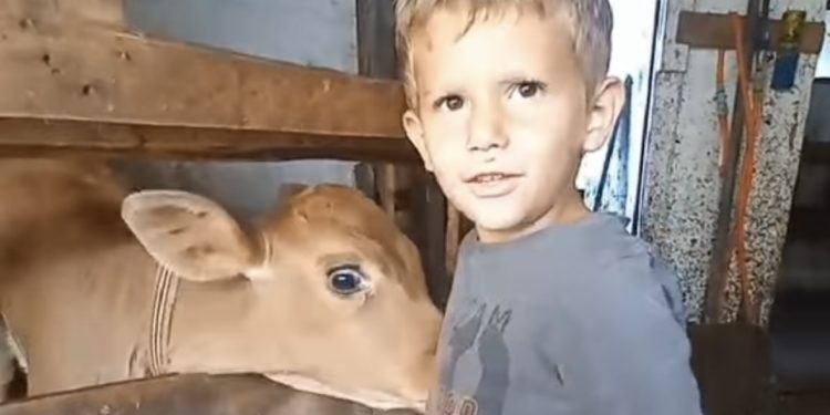 /VIDEO/ Život na farmi u Petnjici: Spoj tradicije i prirode